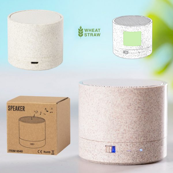 Altavoz Cayren